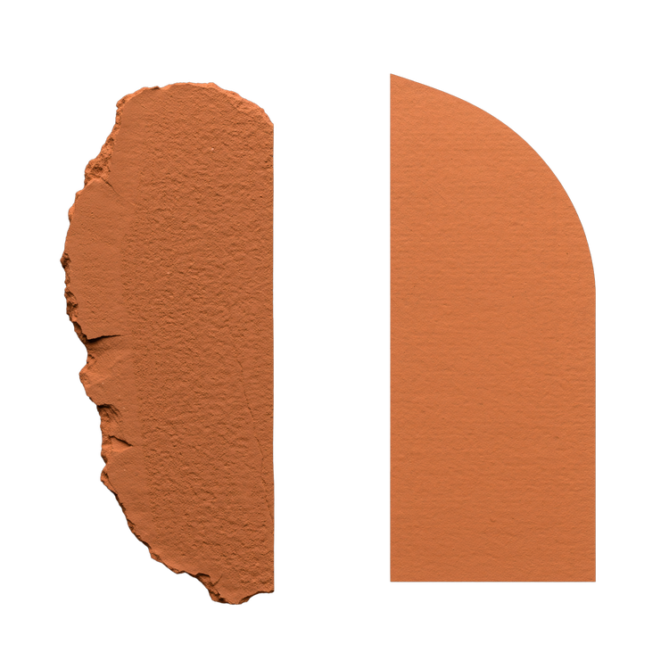 Abstract art: organic and geometric forms in rust orange reaching toward each other with a gap between them.